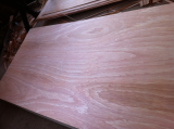 Sell _ Sapele plywood from Vietnam